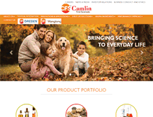 Tablet Screenshot of camlinfs.com